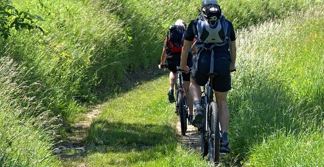 Když kufr nestačí: ideální auta pro cyklisty, surfaře a outdoor nadšence